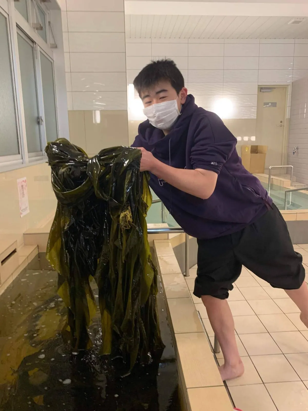 Copemer's kelp project